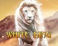 White King II